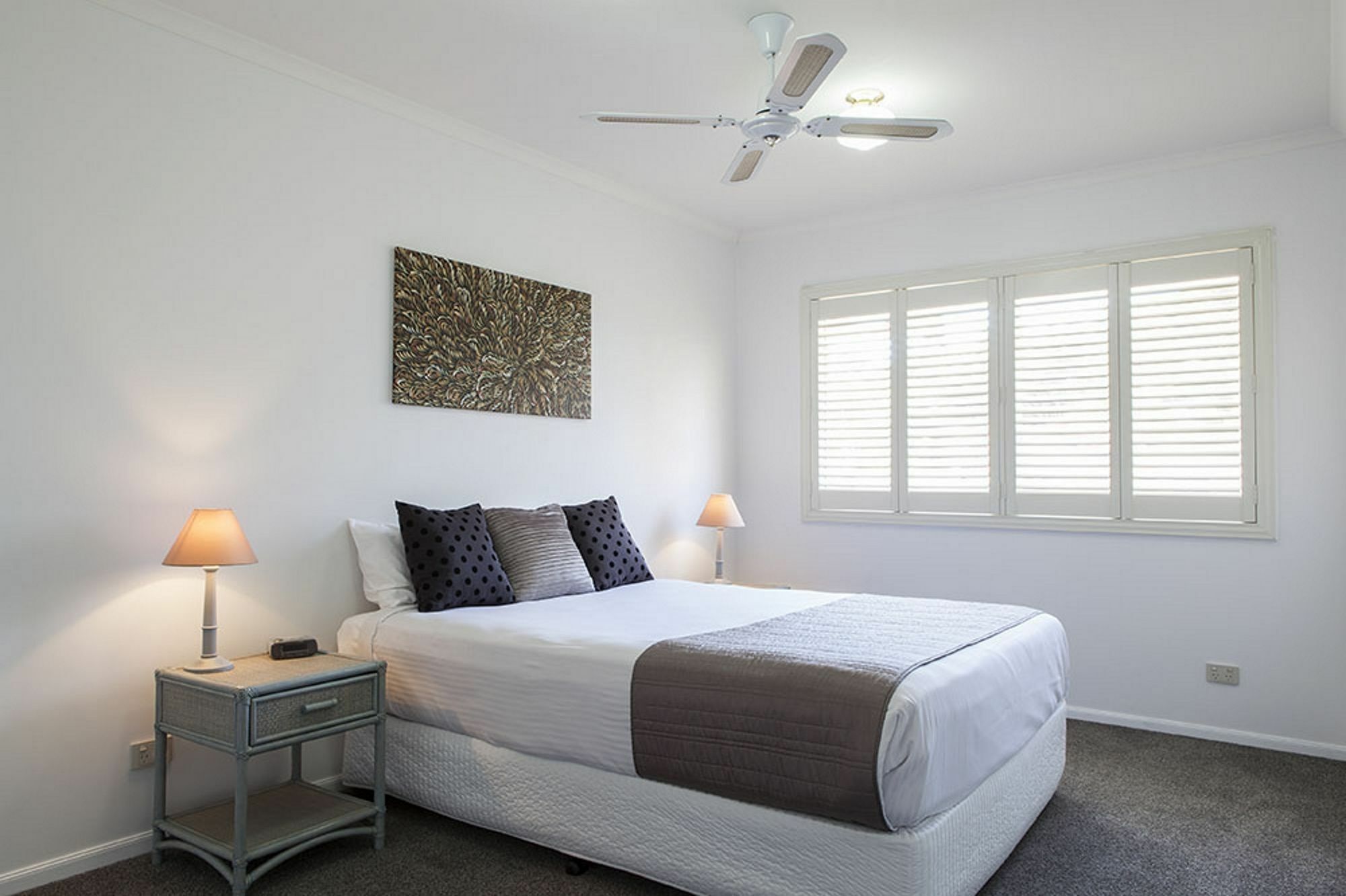 Absolute Beachfront Opal Cove Resort Korora Eksteriør bilde